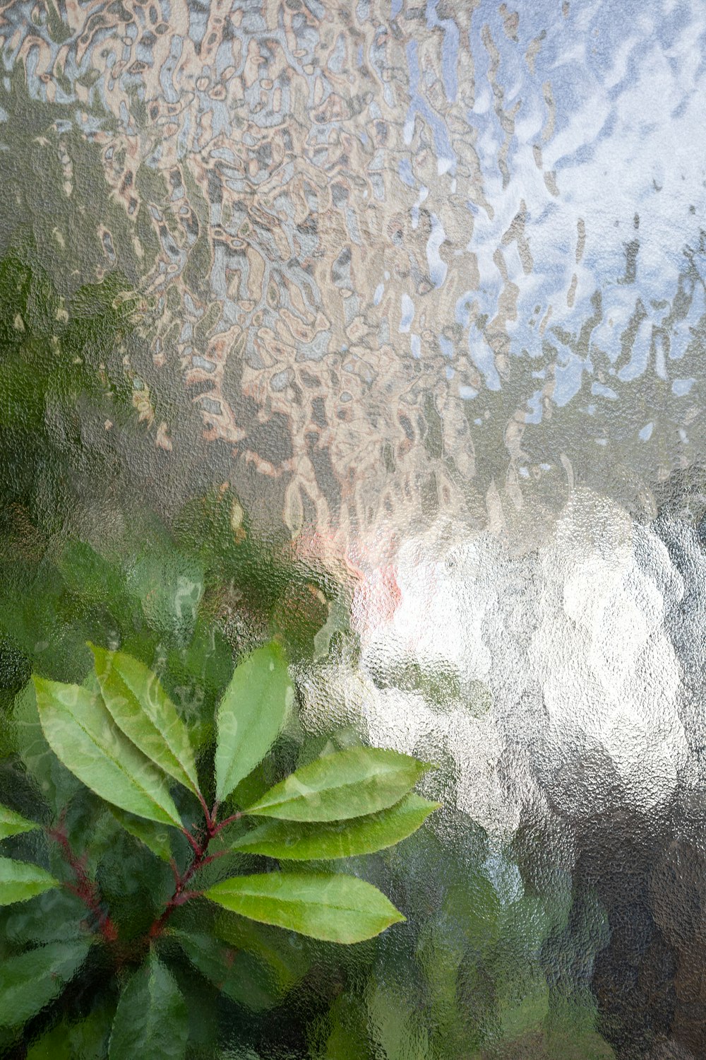 green leaves beside white floral textile