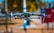 A drone, specifically a Mavic 2, is captured mid-flight with a blurred background of trees and a bright blue sky. The focus on the drone highlights its propellers and camera, suggesting a stable hover. The setting appears sunny, accentuating the metallic surface of the drone.