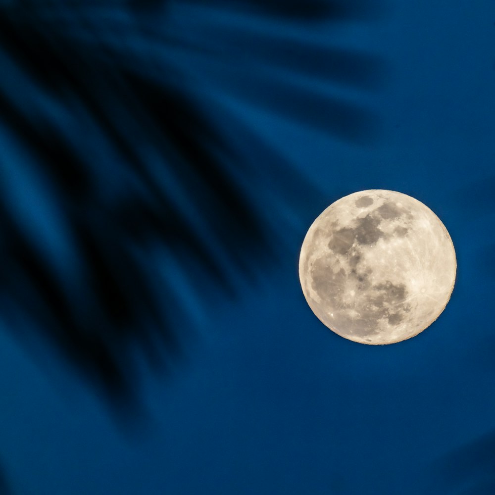 full moon in blue sky