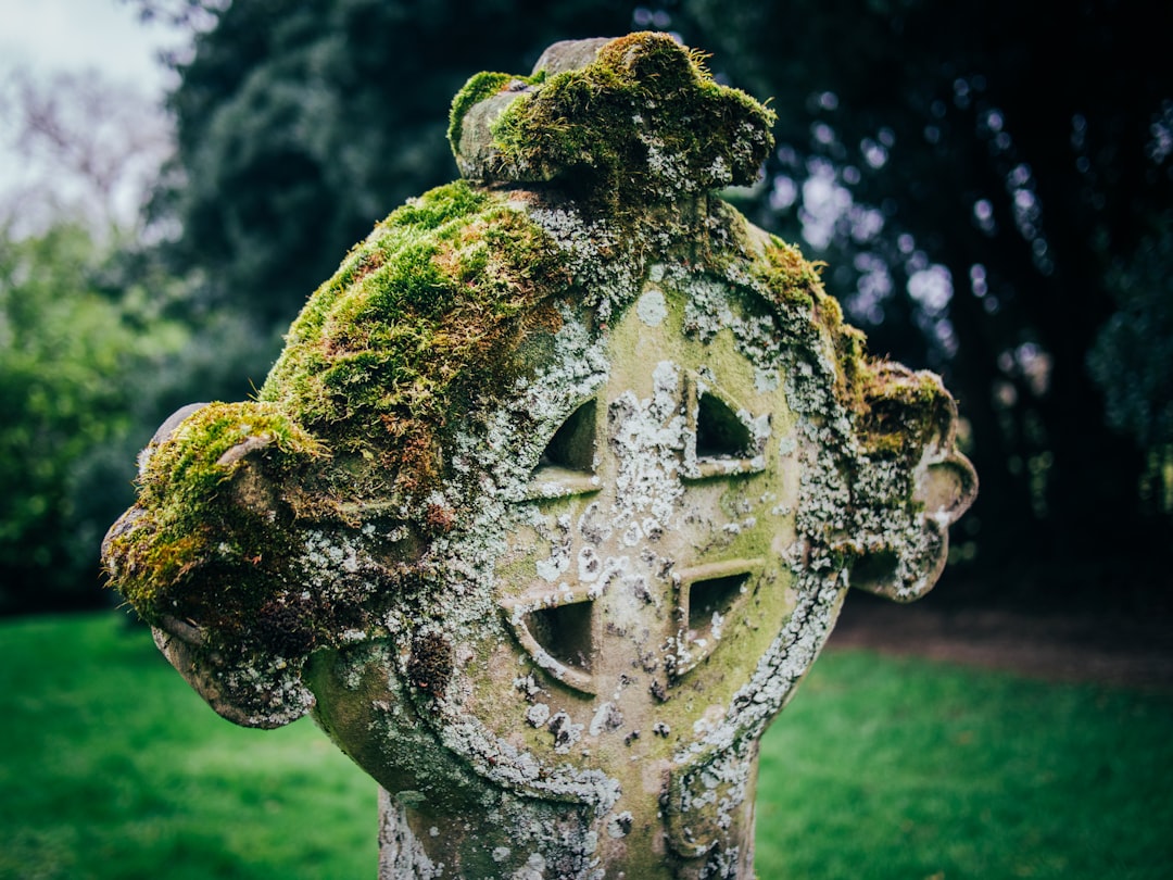 Celtic Tree of Life