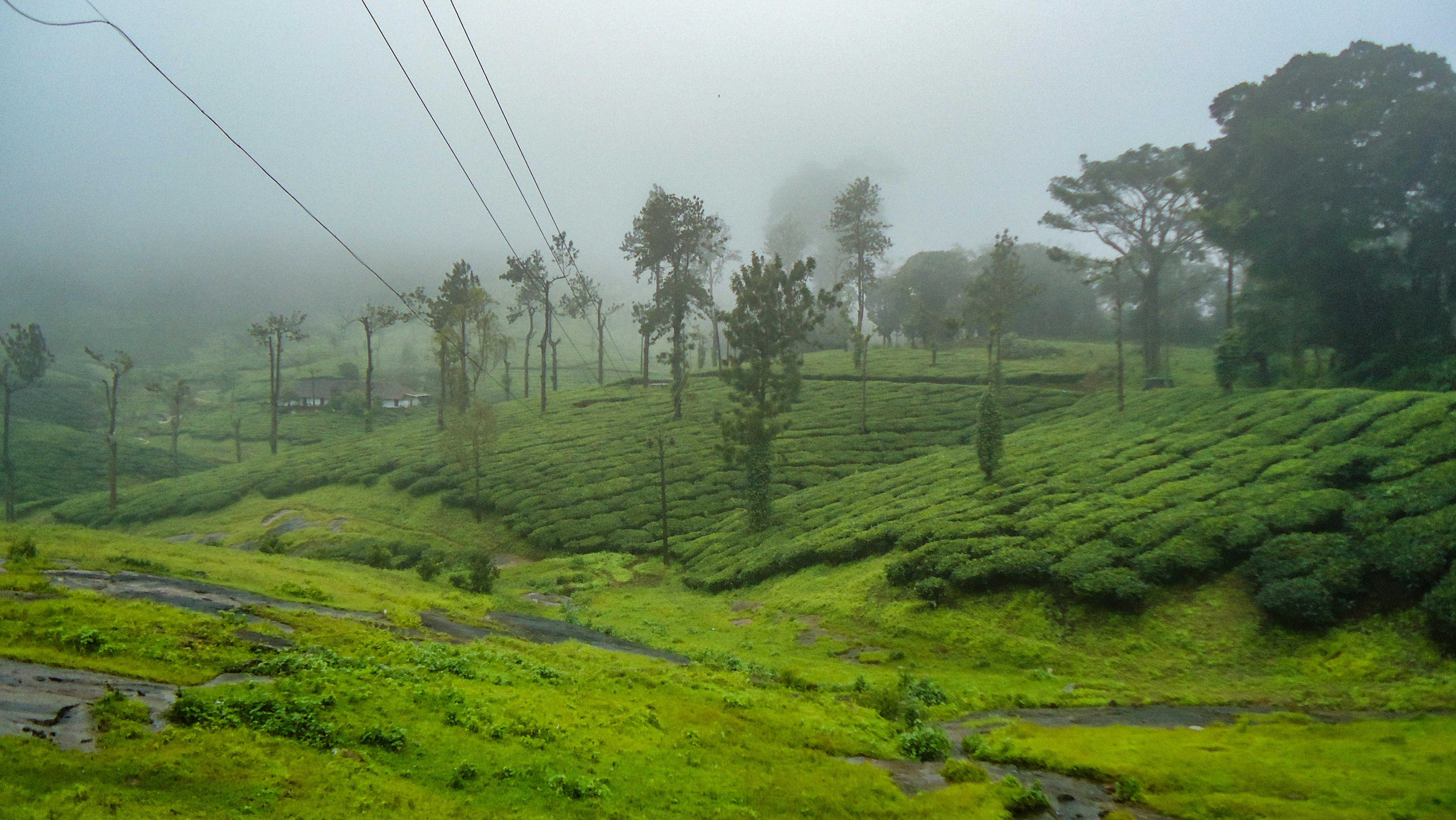 Photo by sreeharid1