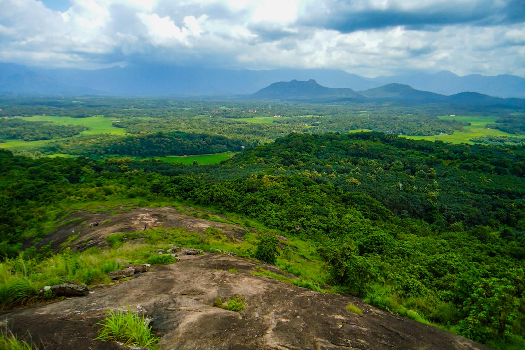 Hill photo spot Kerala Naduvattam