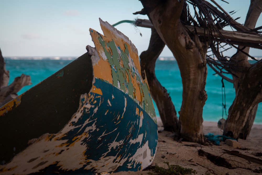 blue and white surfboard on brown tree branch