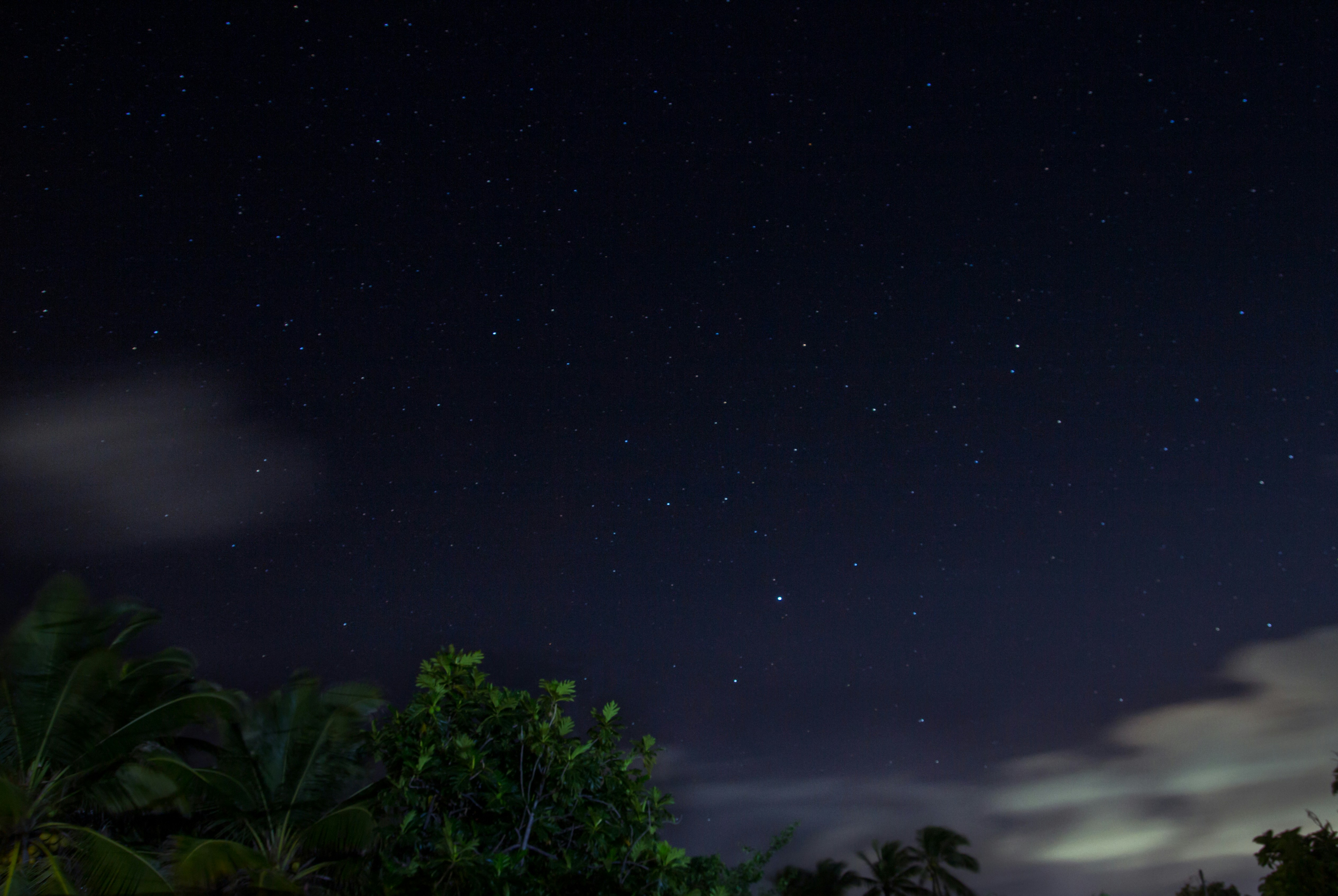 green trees under blue sky during night time barbados teams background