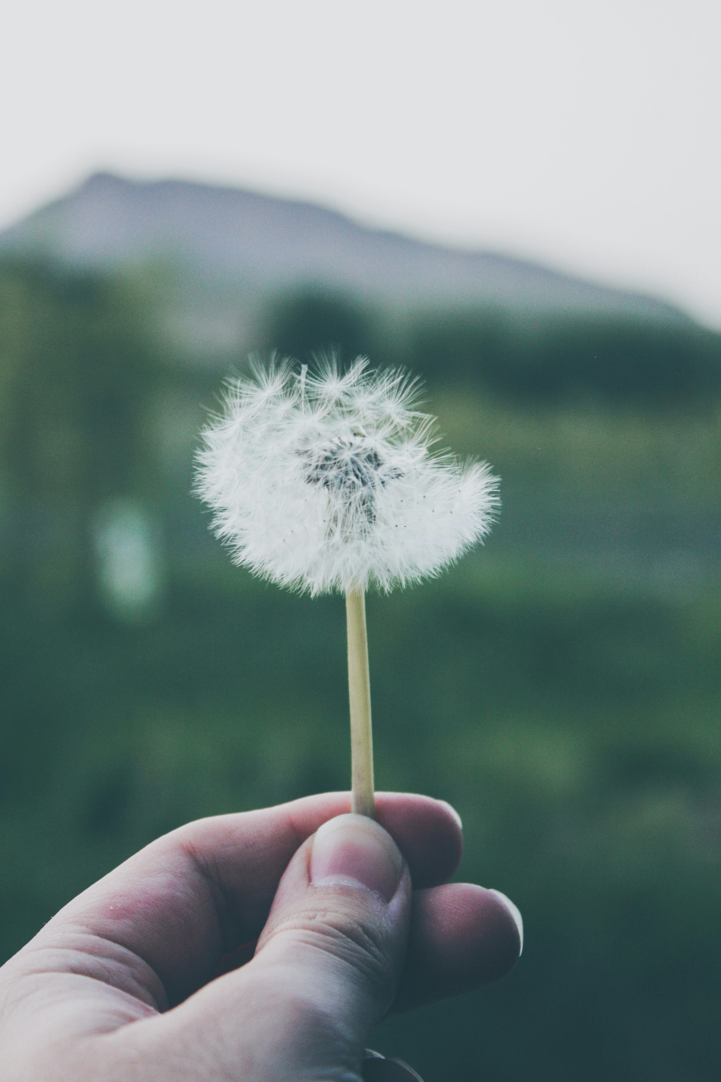 Photo by jokernametest