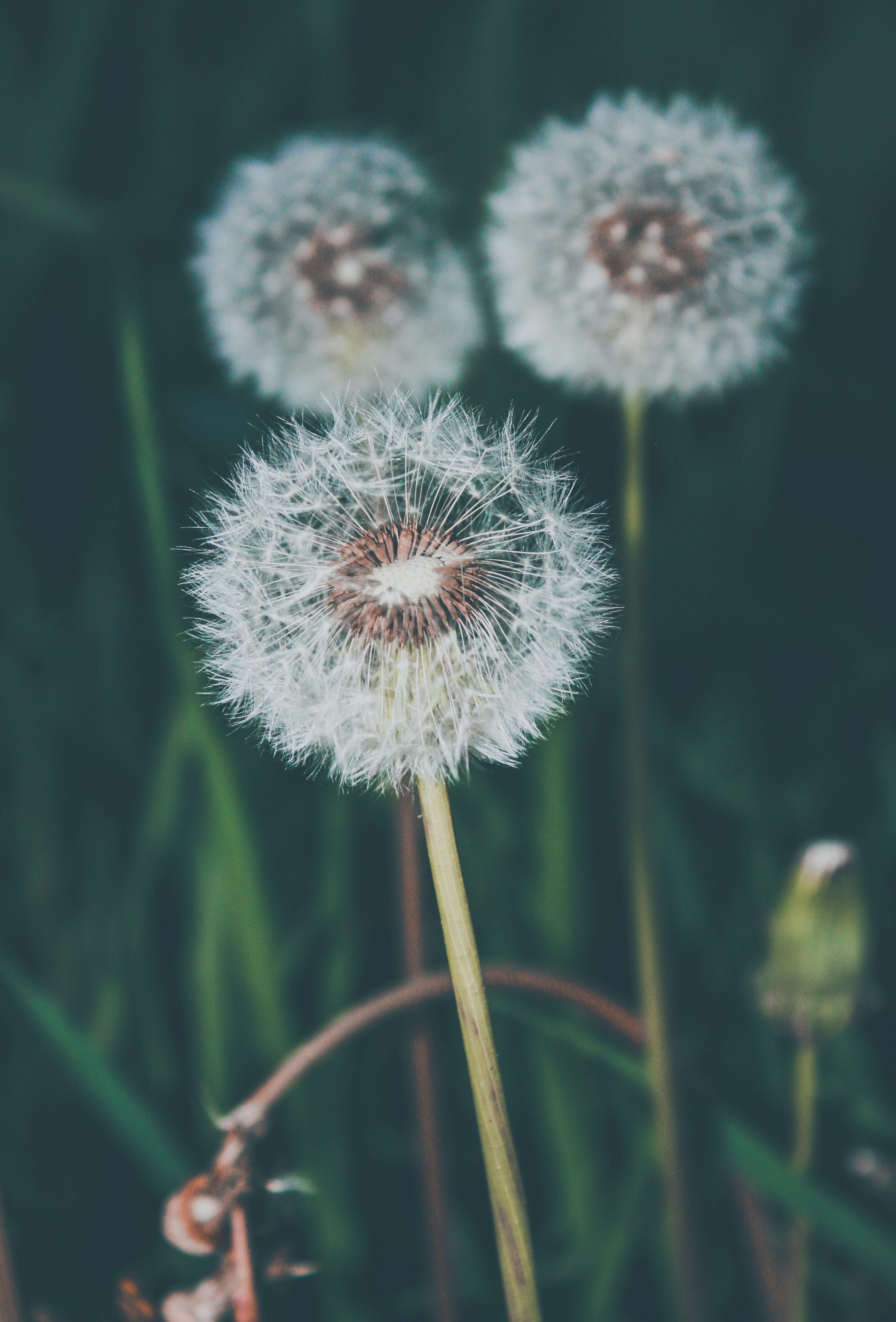 Photo by jokernametest