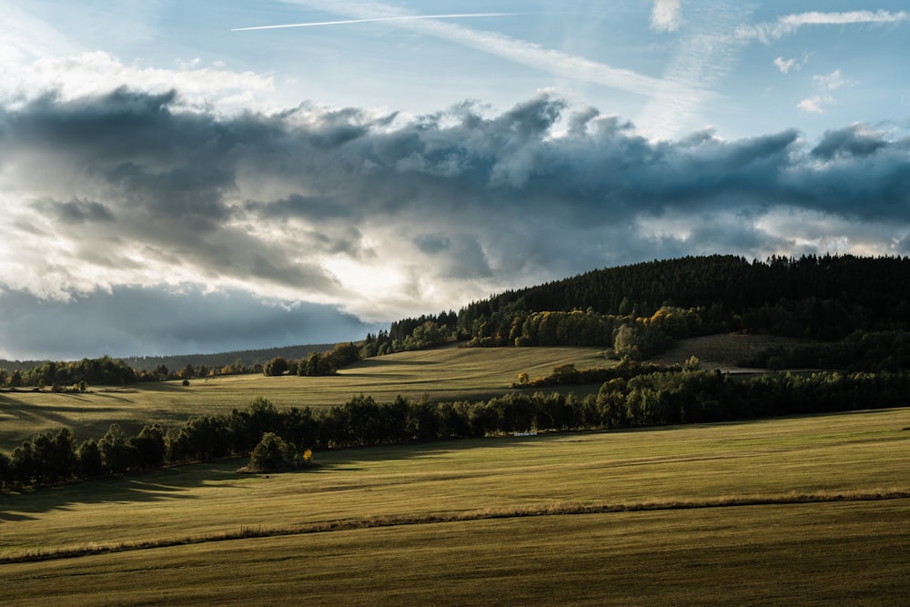 green grass field under white clouds and blue sky during daytime