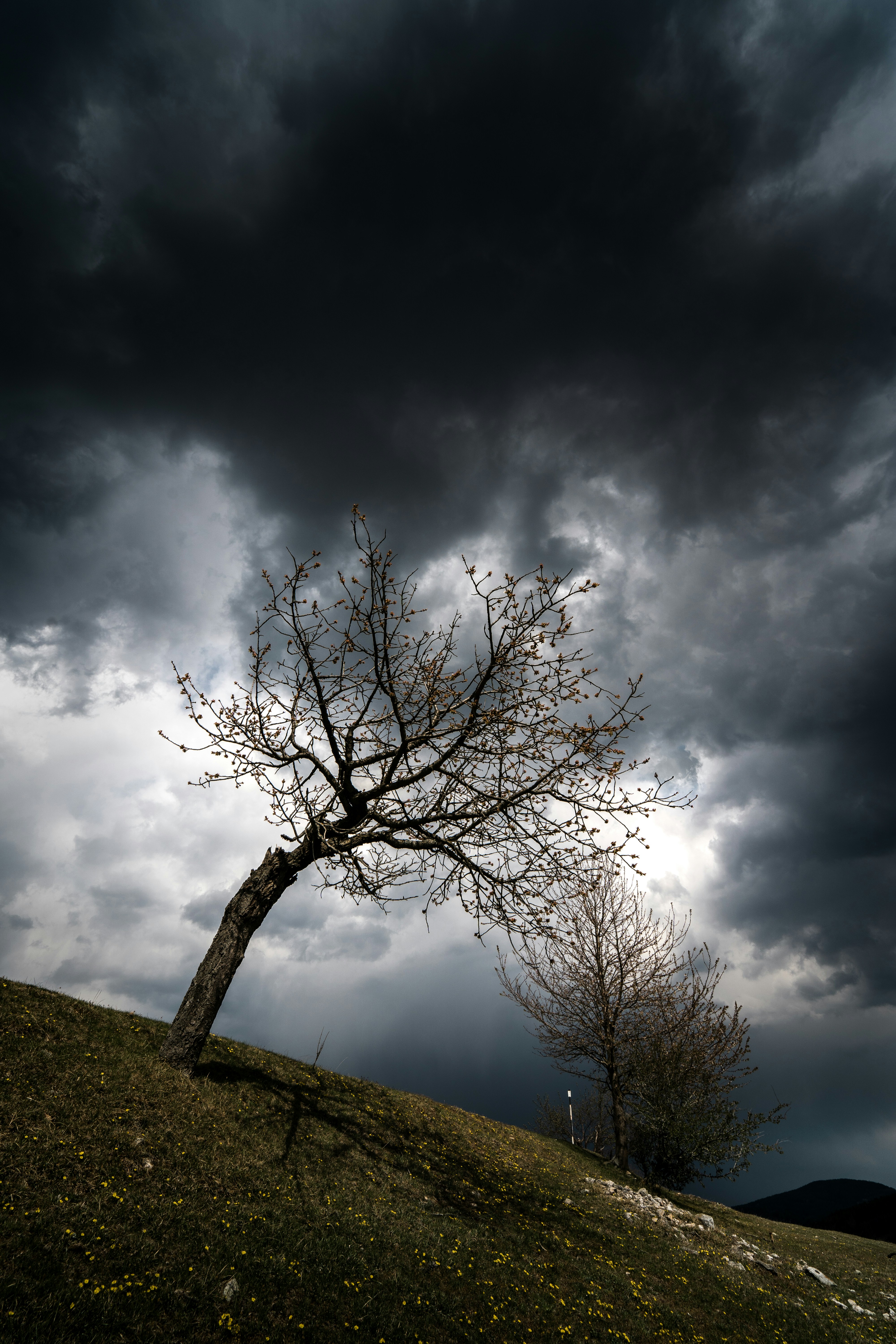 Photo by chrisslozan