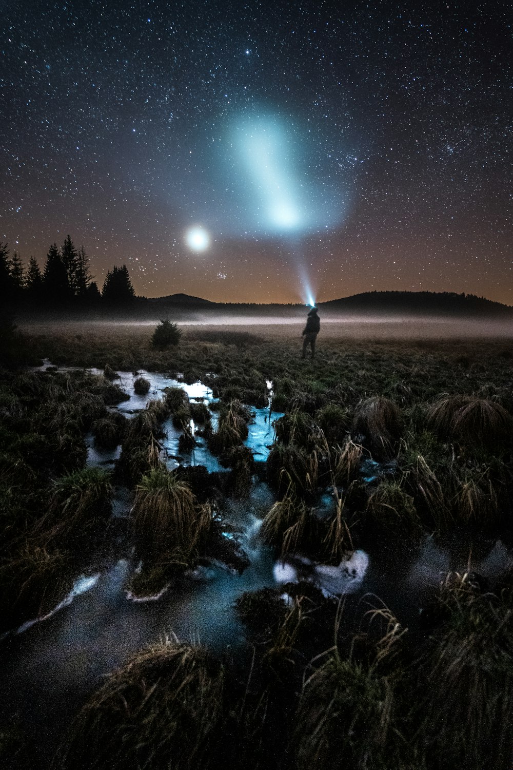 people walking on brown field during night time