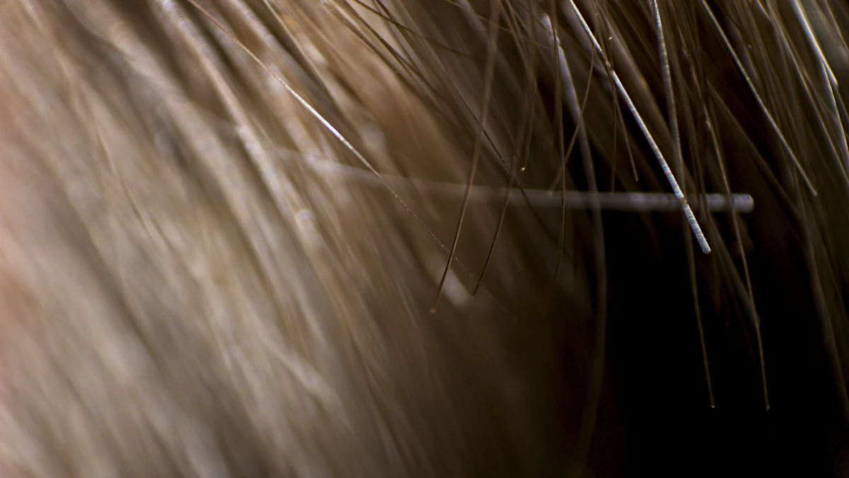 A close-up of brown hair strands against a black background.