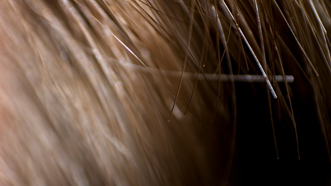 brown hair on black background