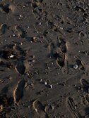 Footprints trailing along the shoreline at dawn.