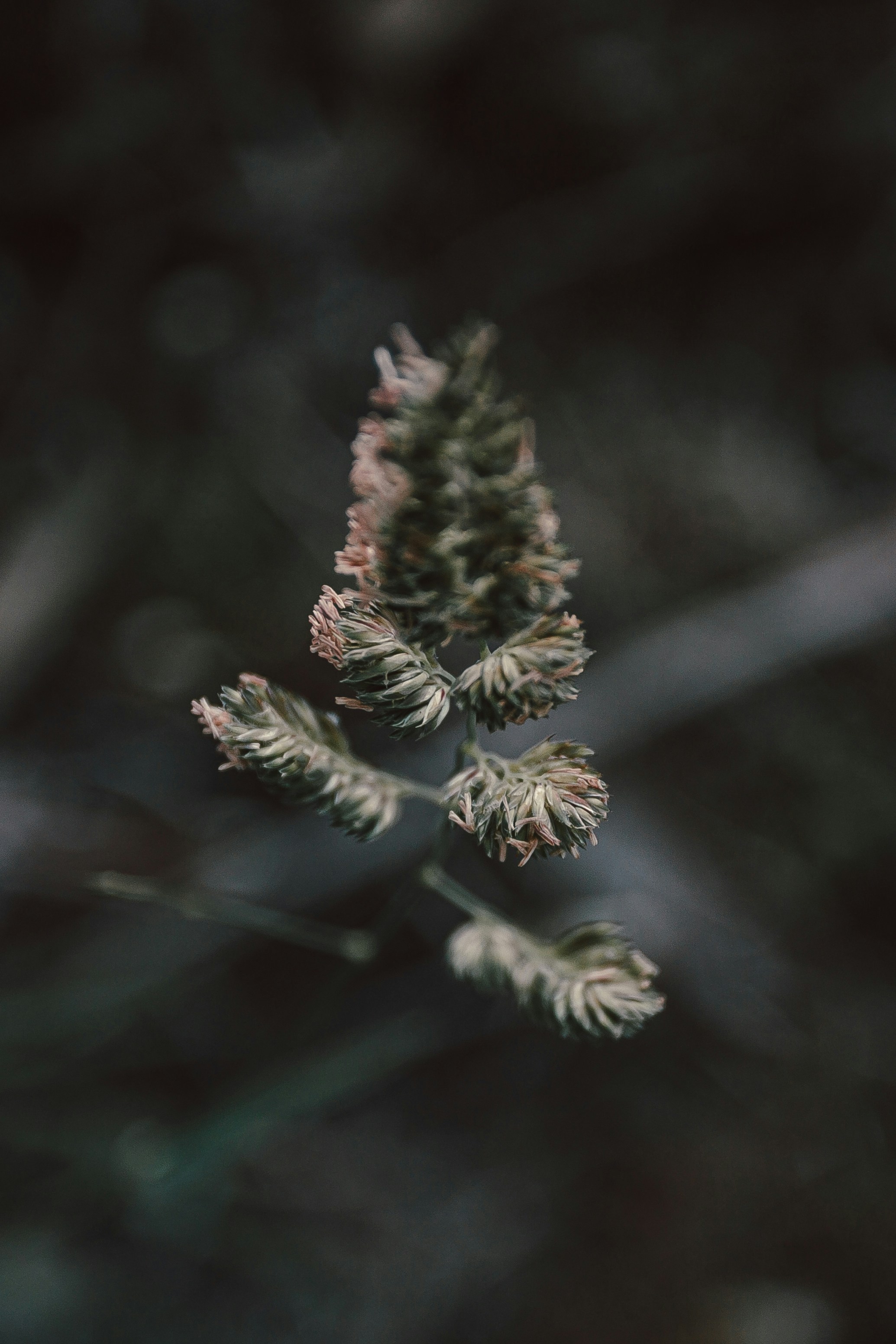 Photo by 3tnik