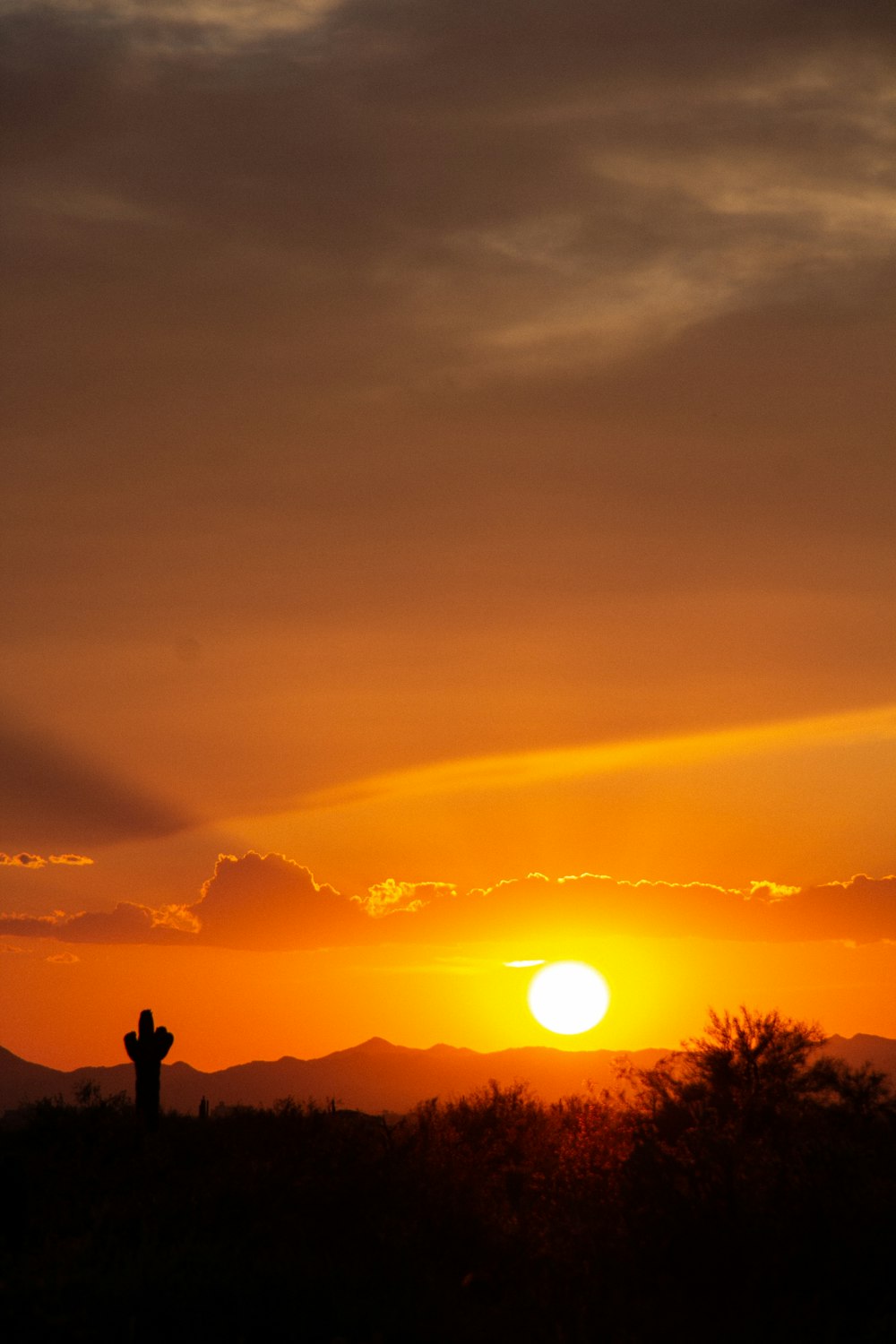 silhouette of man standing on hill during sunset