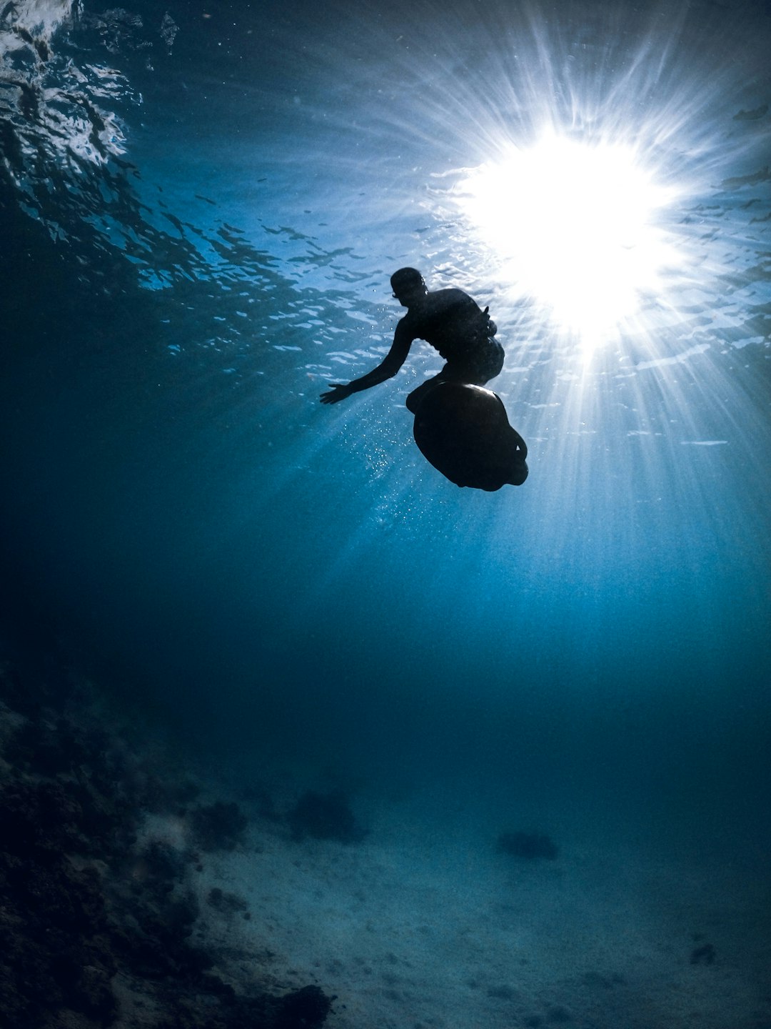 Underwater diving photo spot Maldives Maldives