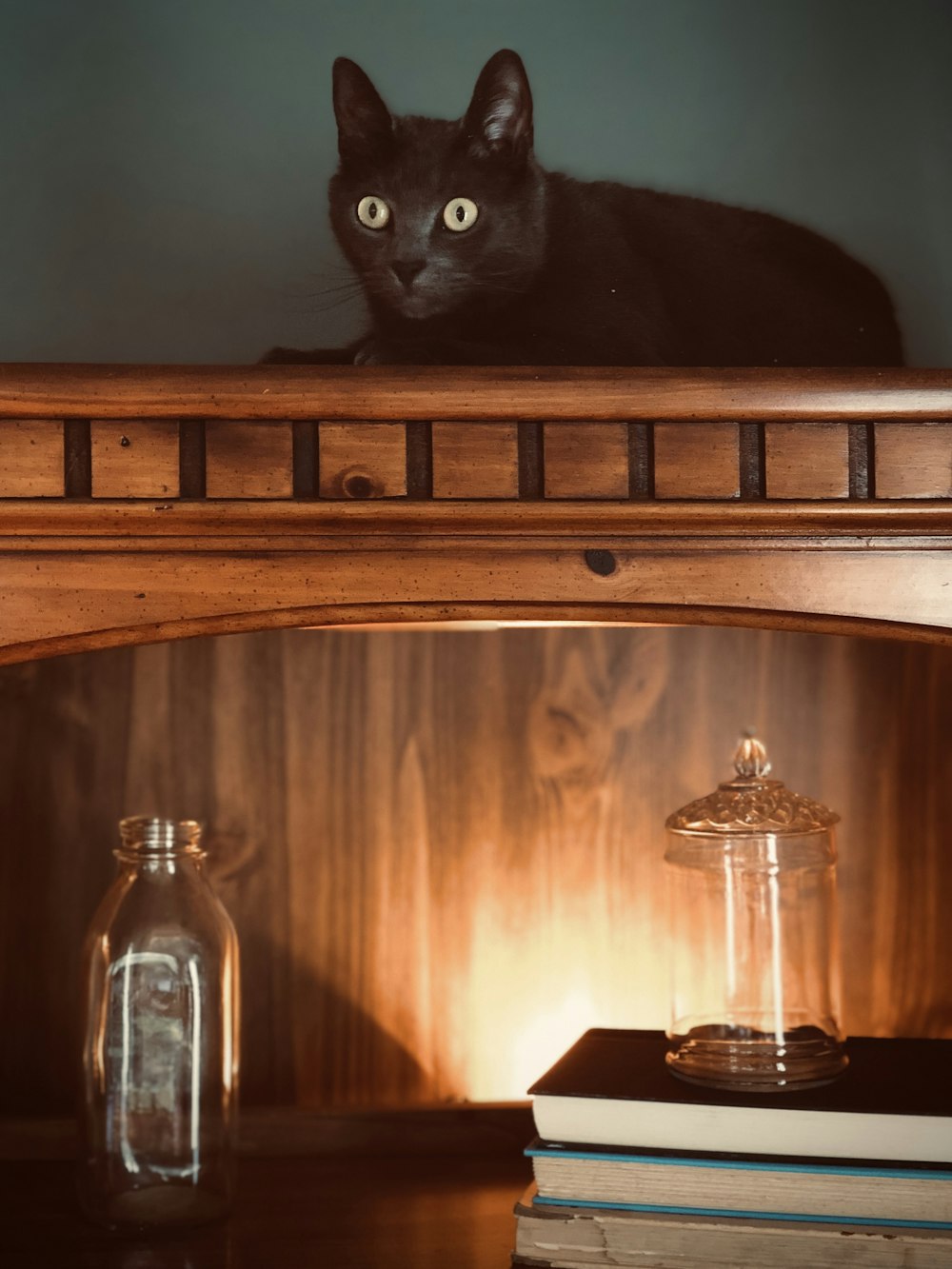 chat noir sur armoire en bois marron