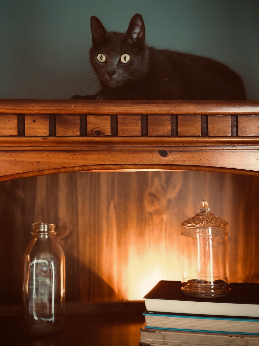 black cat on brown wooden cabinet