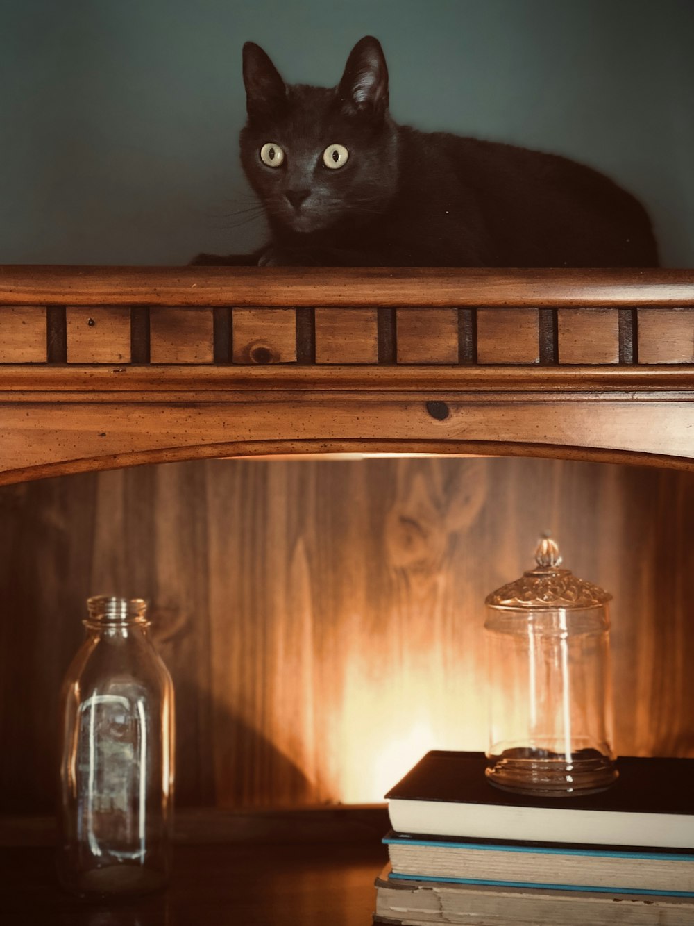 gato preto no armário de madeira marrom