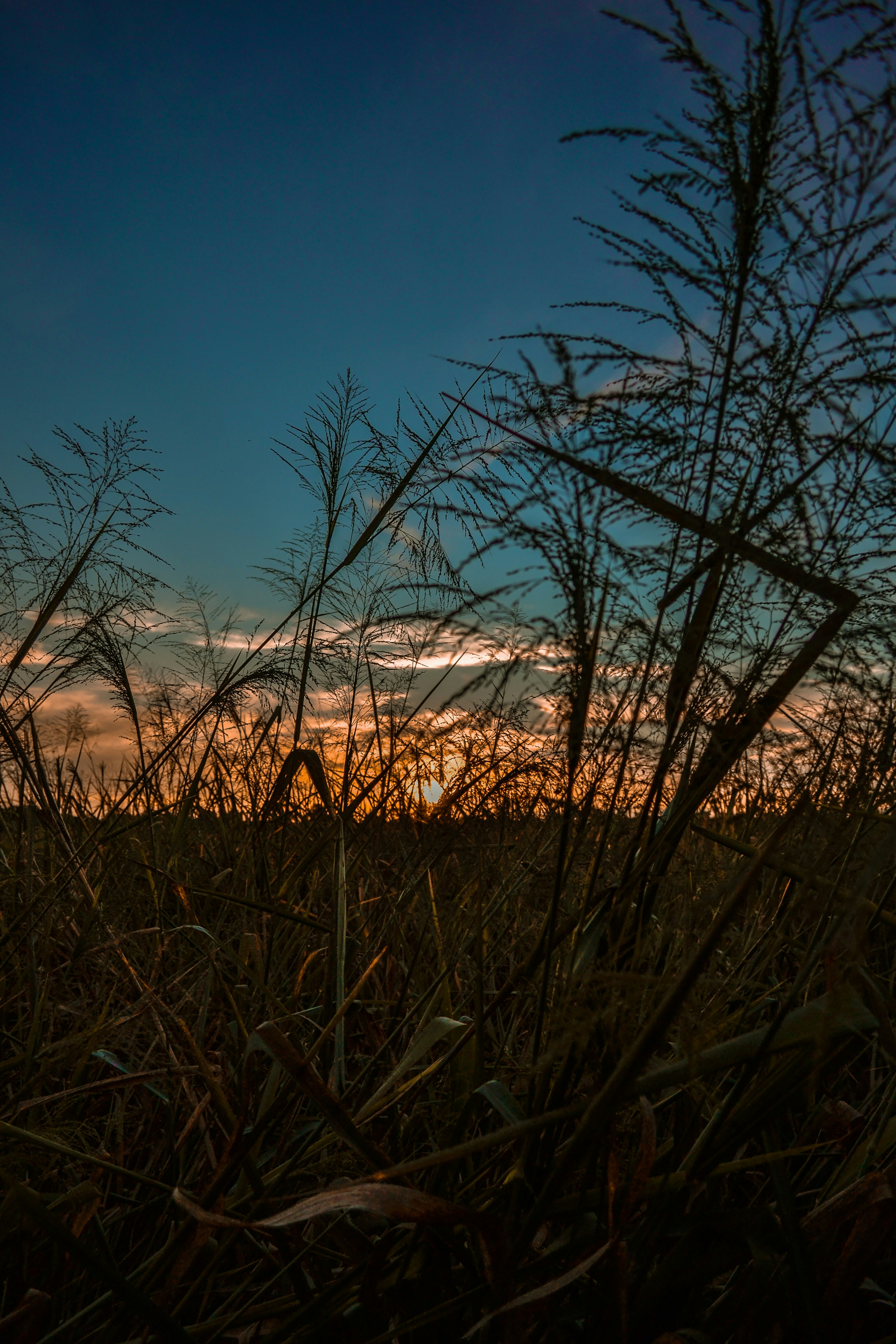 Photo by marissabeletti