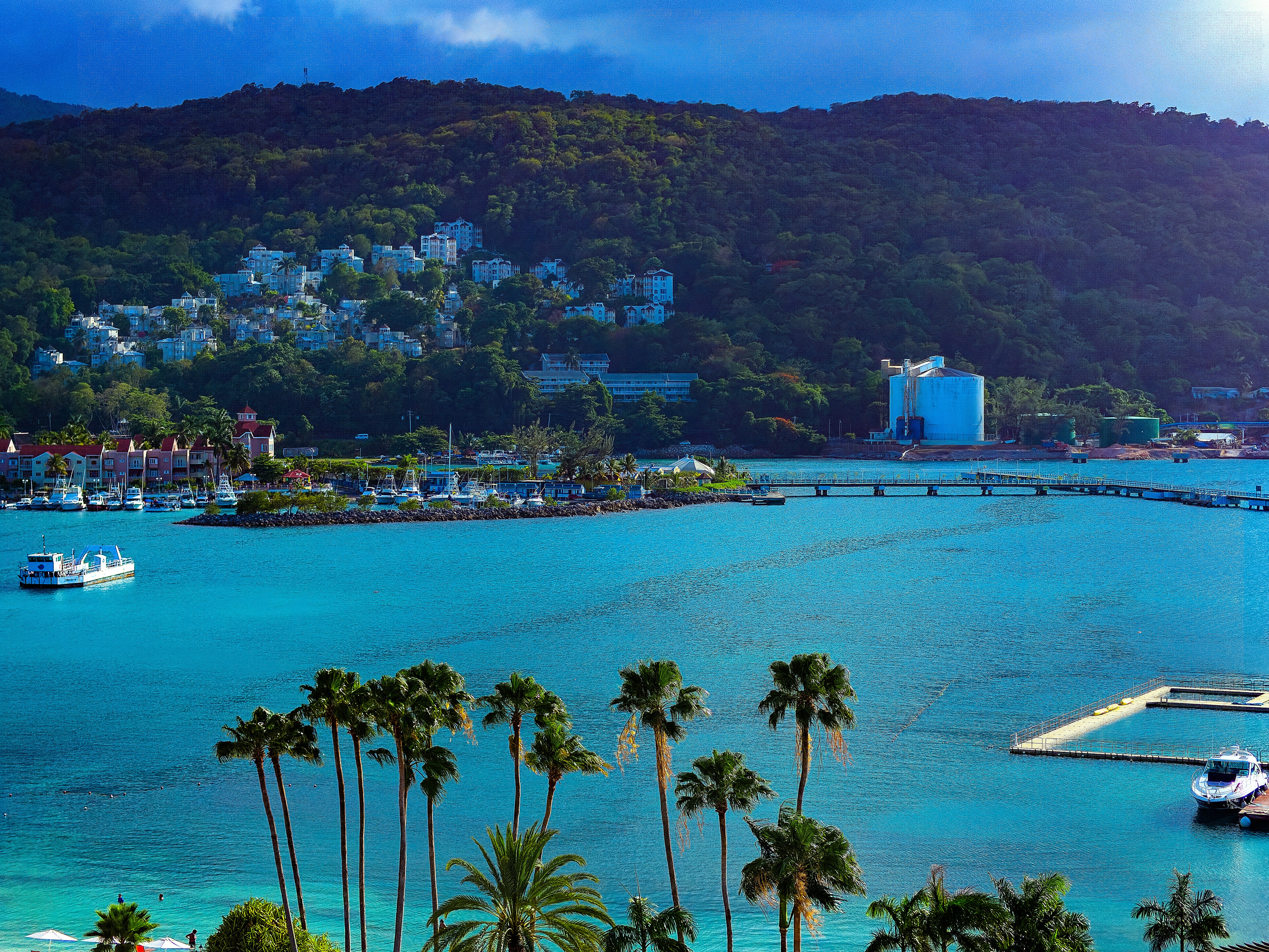 green palm trees near body of water during daytime trips teams background