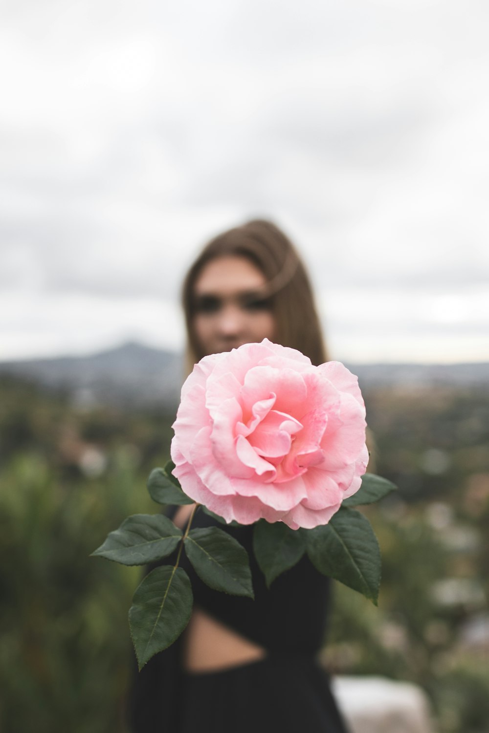 woman holding pink flower during daytime