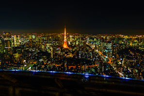 Vista aerea de París por la noche con la Torre Eiffel al centro