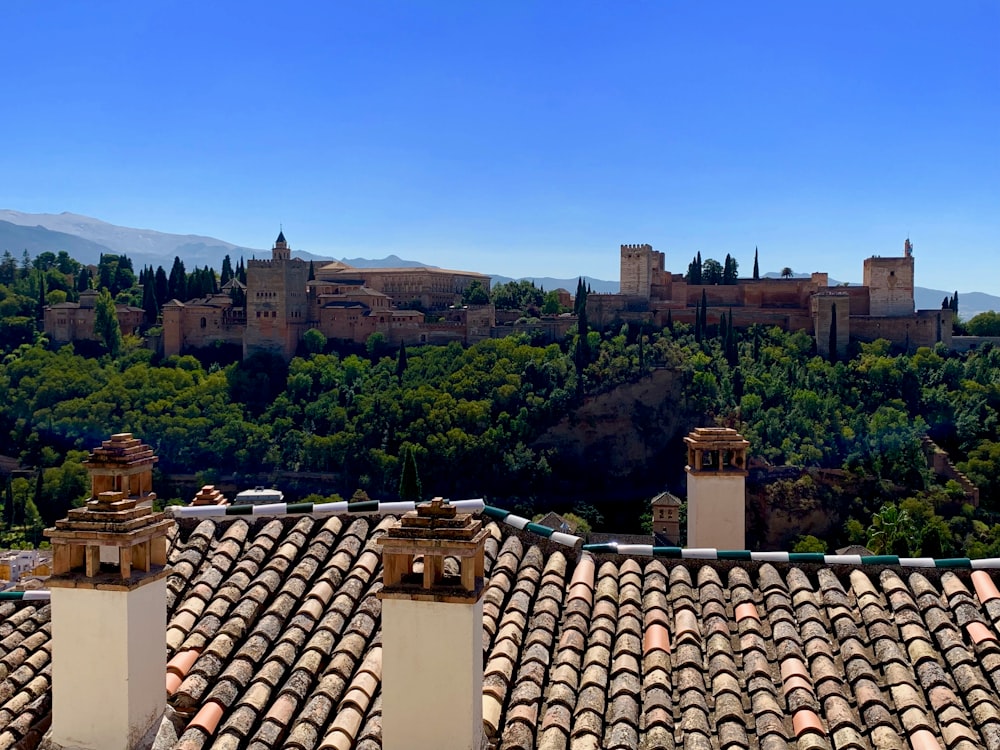 brown roof tiles near green trees during daytime