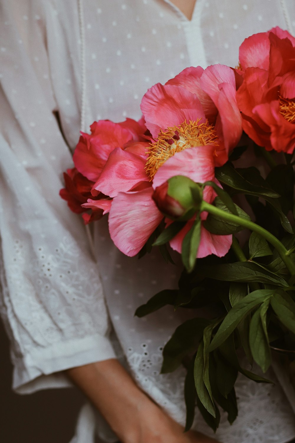 pink flower with green leaves