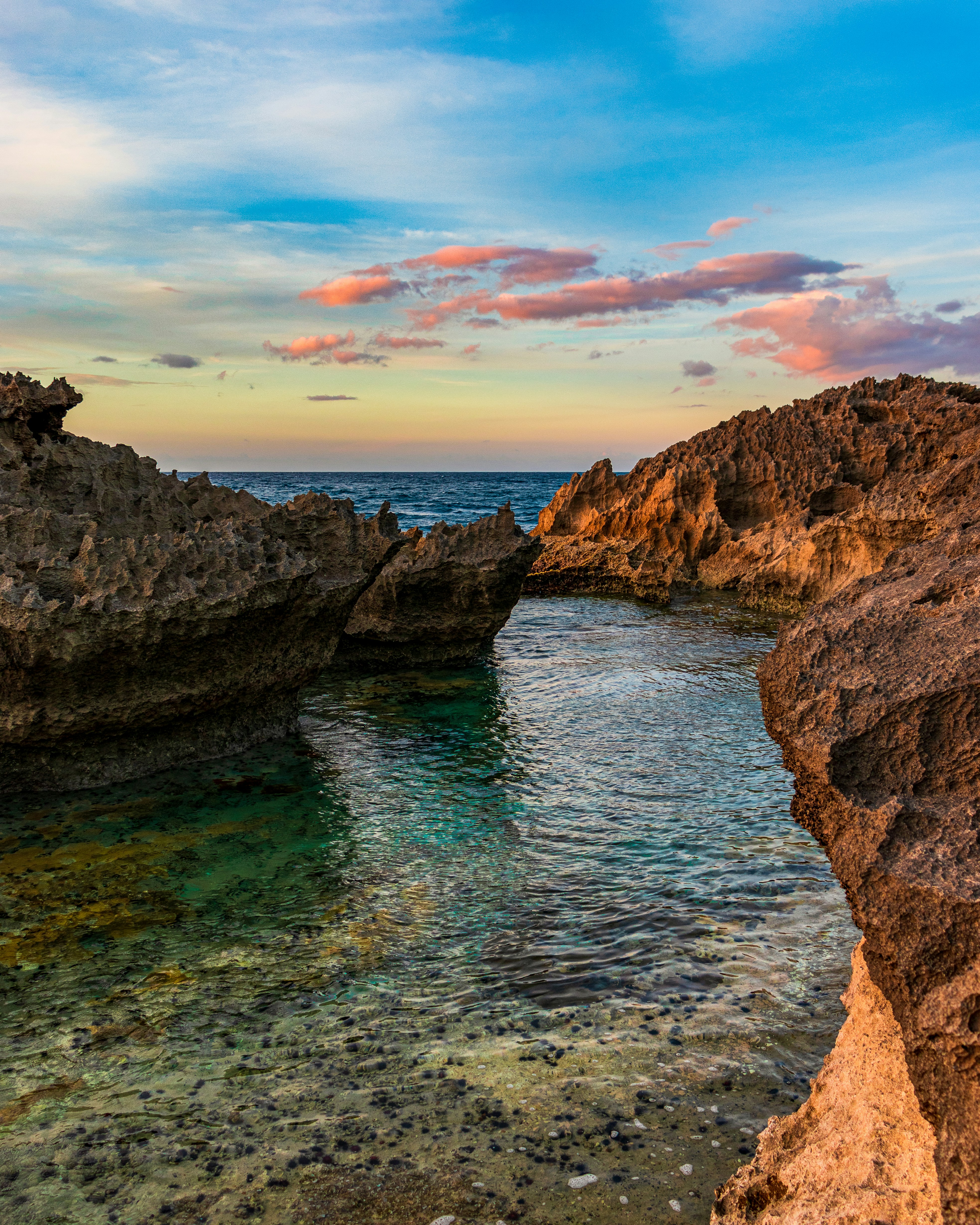 Photo by amadorphotographyy