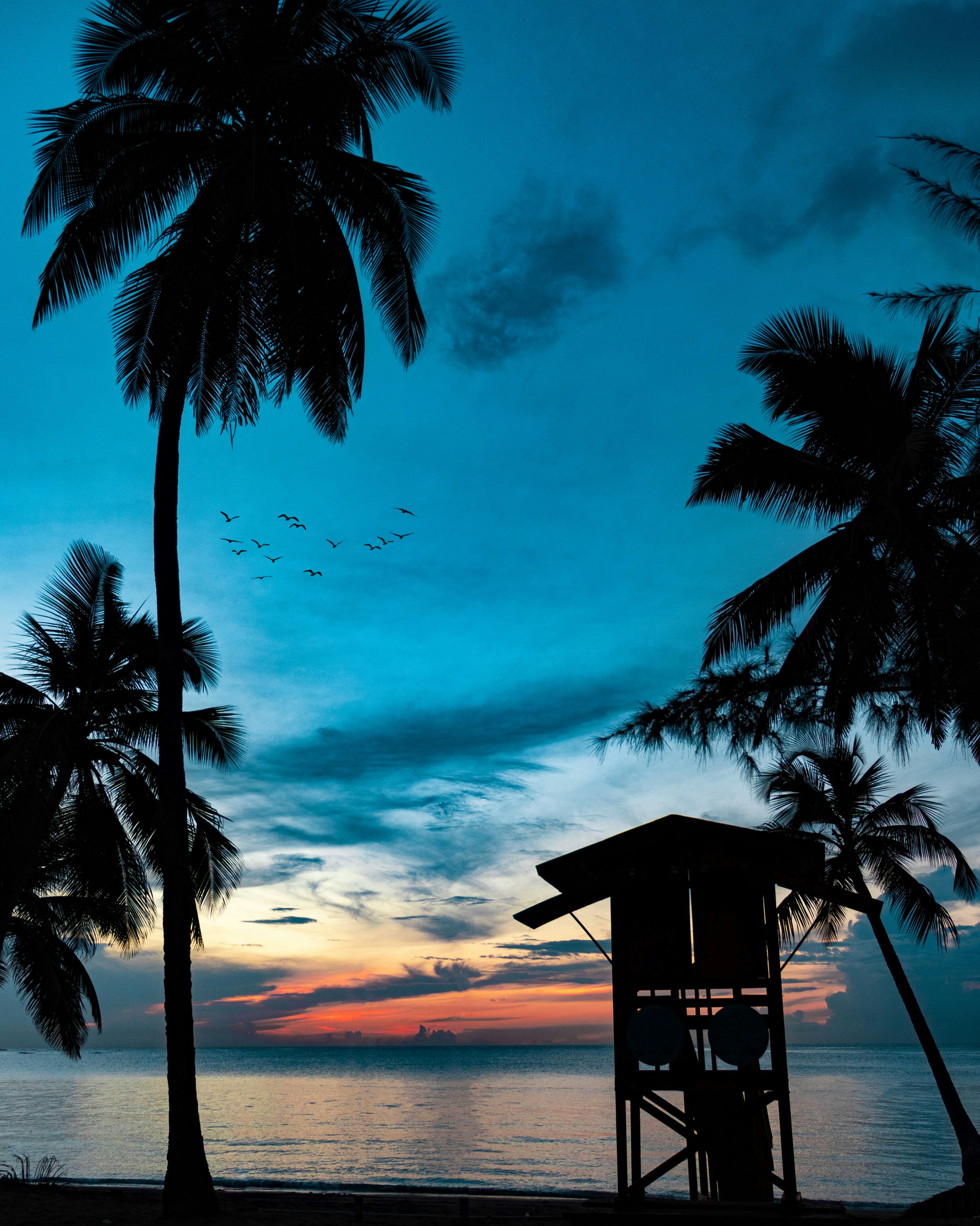 Photo by amadorphotographyy