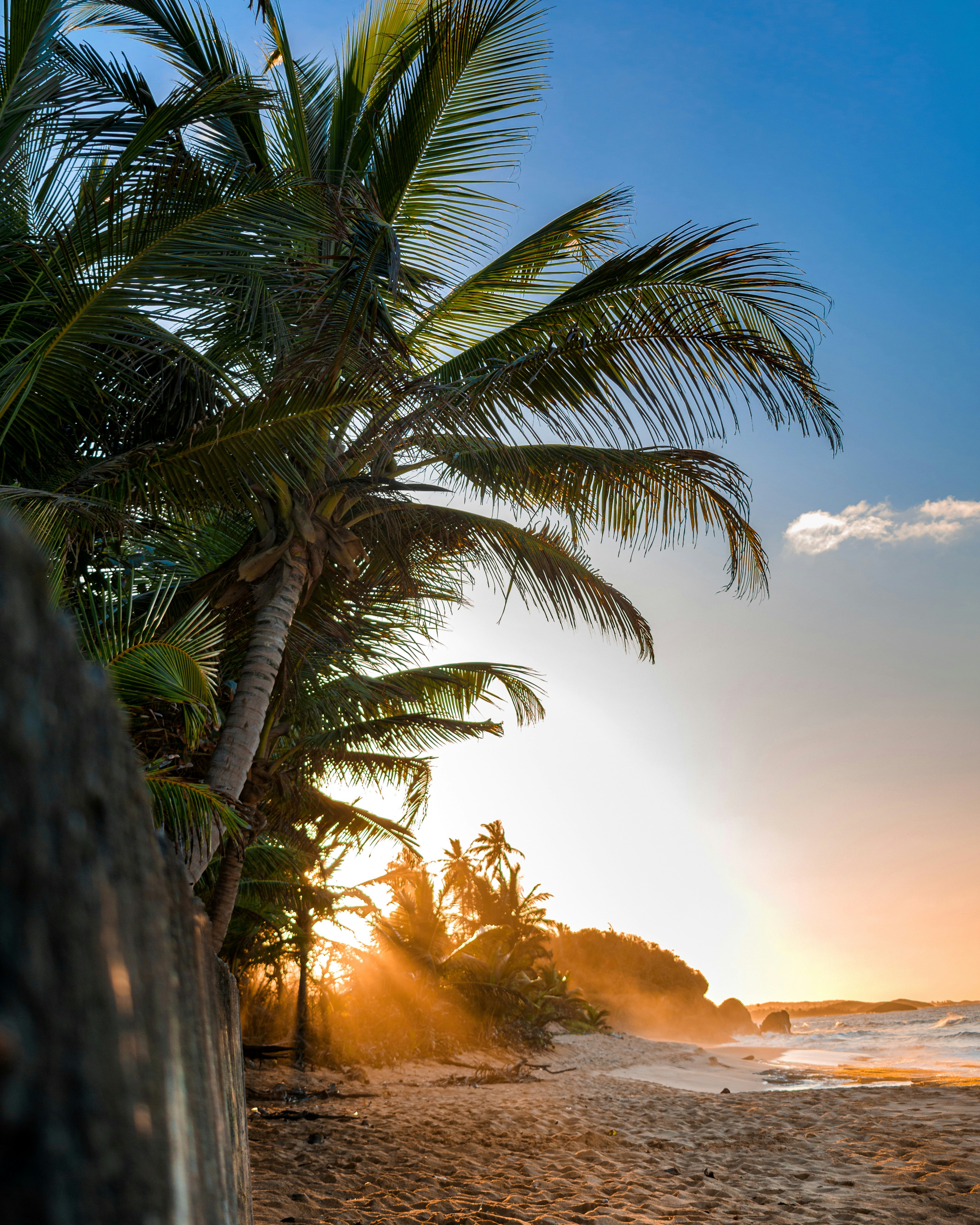 Photo by amadorphotographyy