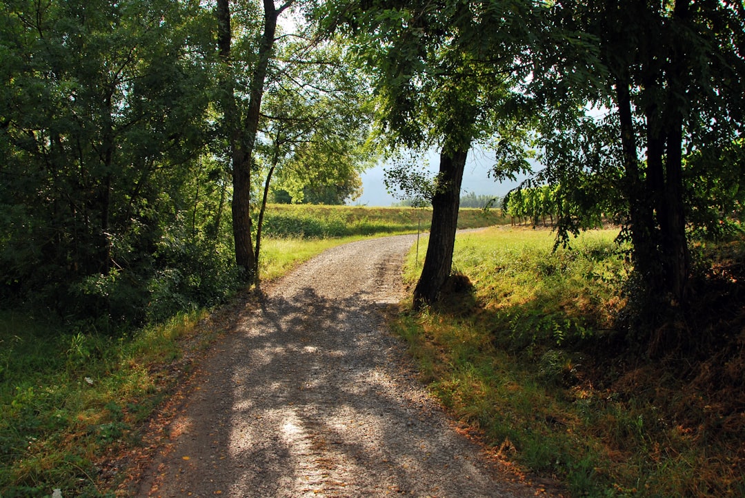 Nature reserve photo spot Barsac La Teste-de-Buch