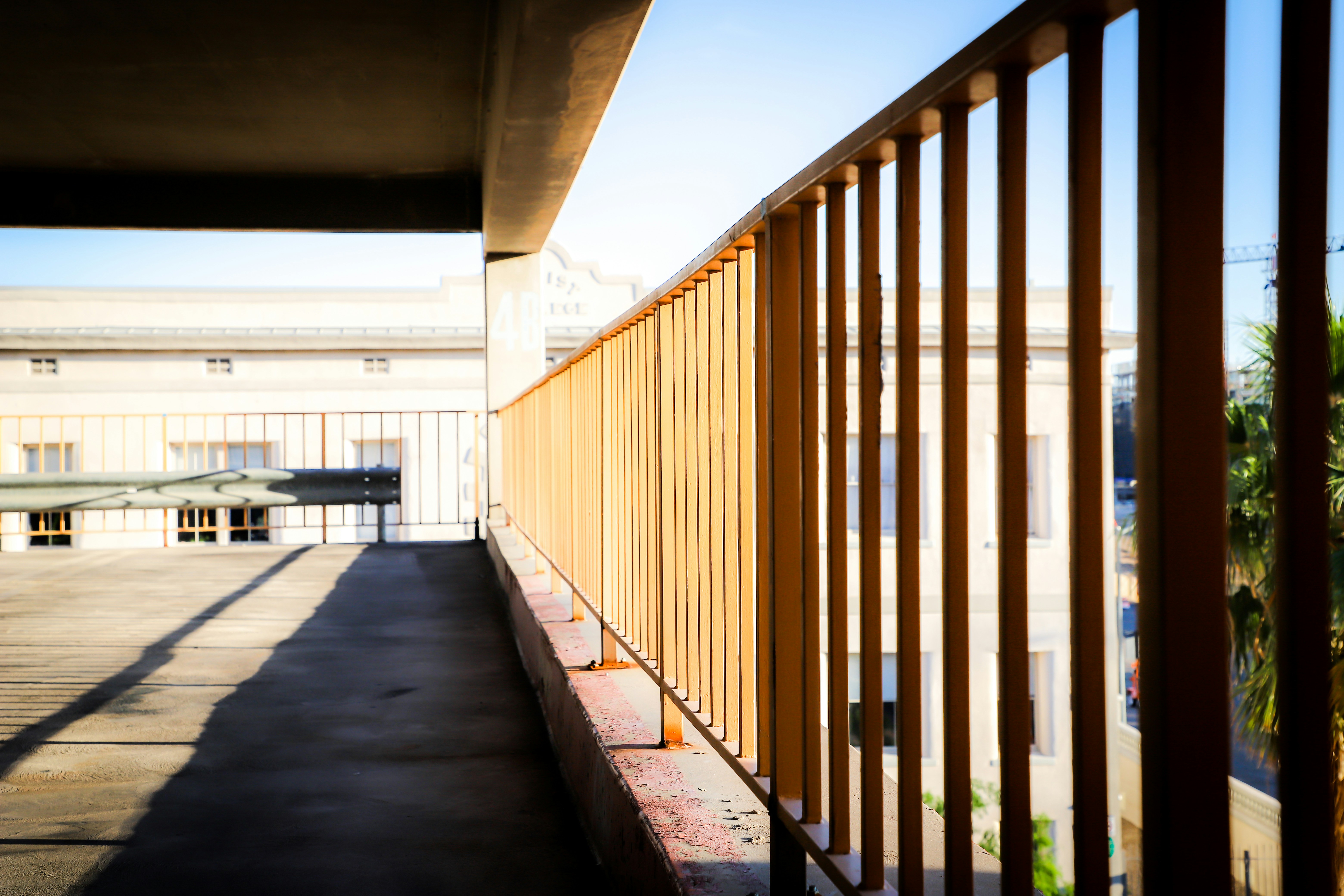 Photo by frankielopez