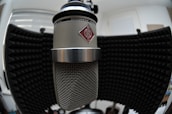 A large studio microphone with a metal mesh grille is positioned in front of a black acoustic foam panel. The microphone features a prominent logo on its body. The background includes soundproofing materials, contributing to a professional audio recording environment.