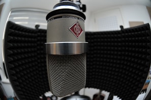 A large studio microphone with a metal mesh grille is positioned in front of a black acoustic foam panel. The microphone features a prominent logo on its body. The background includes soundproofing materials, contributing to a professional audio recording environment.