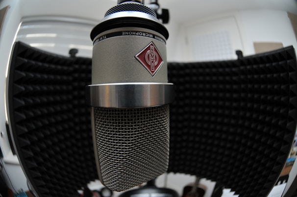 A large studio microphone with a metal mesh grille is positioned in front of a black acoustic foam panel. The microphone features a prominent logo on its body. The background includes soundproofing materials, contributing to a professional audio recording environment.