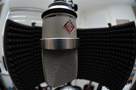 A large studio microphone with a metal mesh grille is positioned in front of a black acoustic foam panel. The microphone features a prominent logo on its body. The background includes soundproofing materials, contributing to a professional audio recording environment.