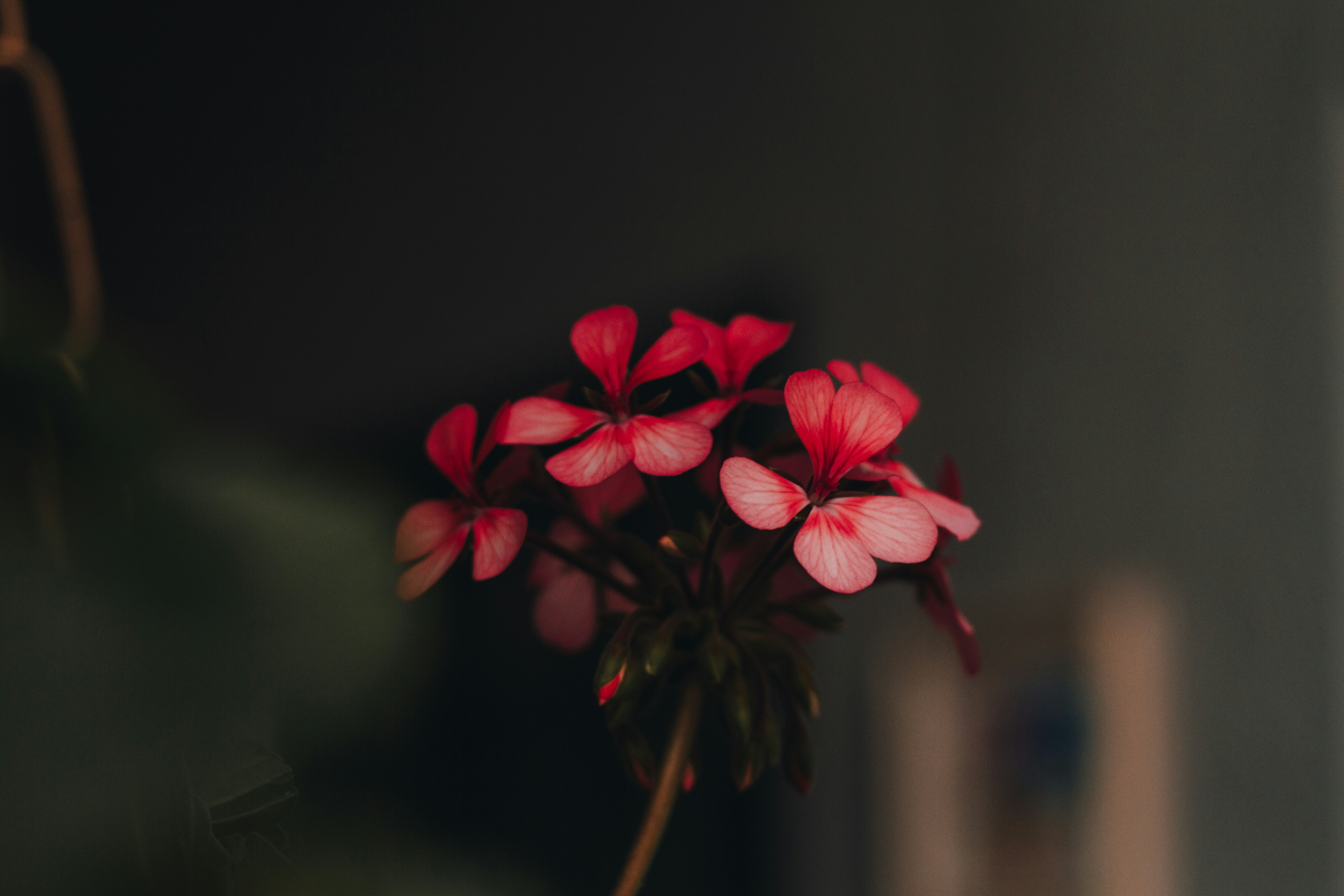 Photo by joaoattitude1