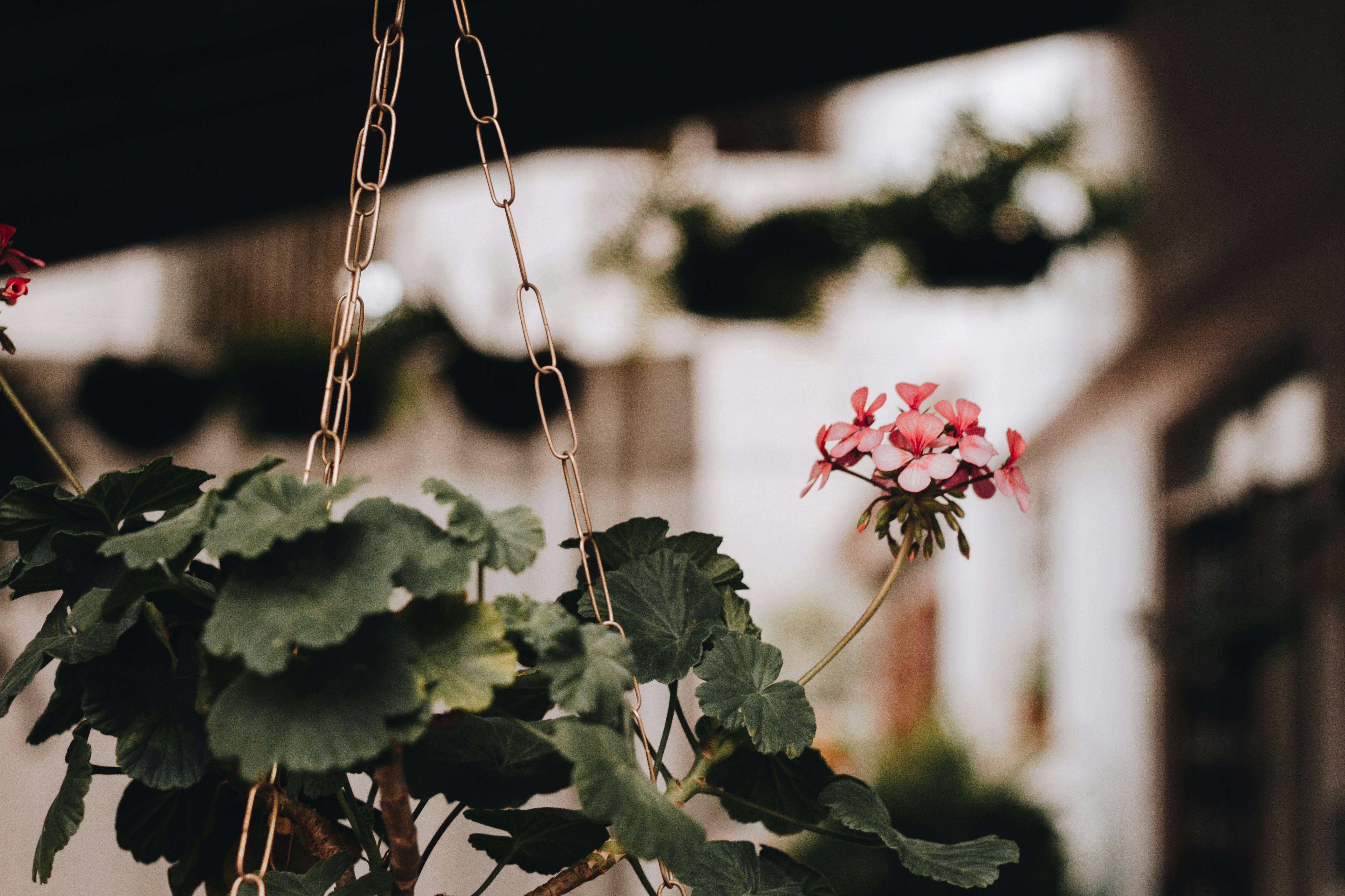 Photo by joaoattitude1