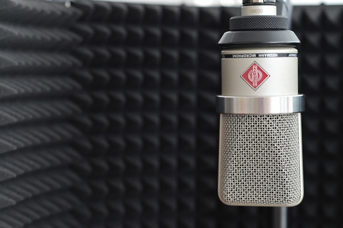 black and gray microphone on black textile