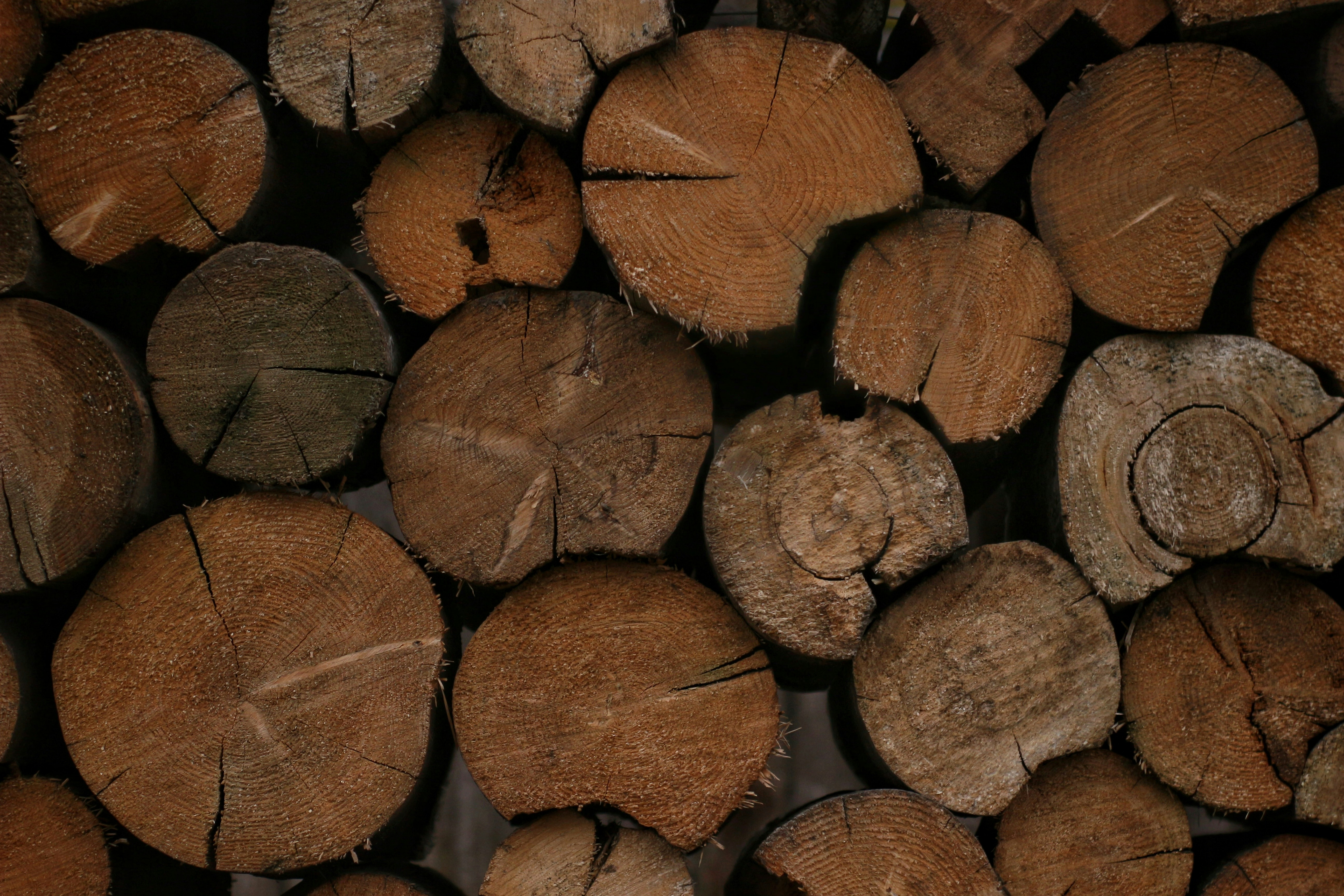 Photo by _ptichkasinichka_