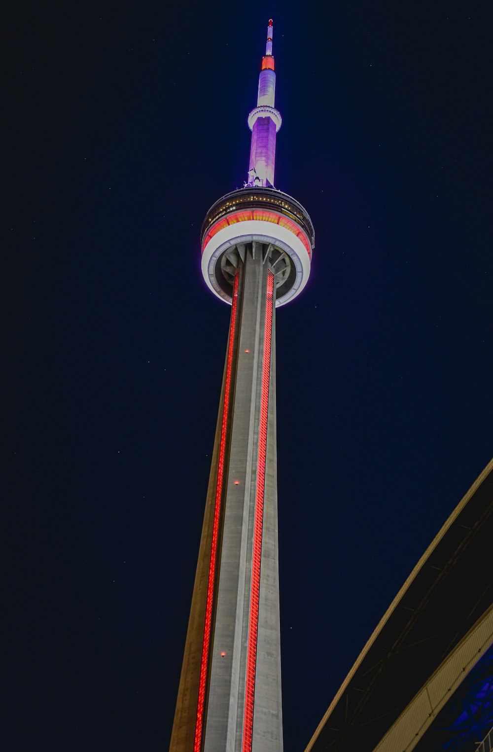 purple and white tower during night time