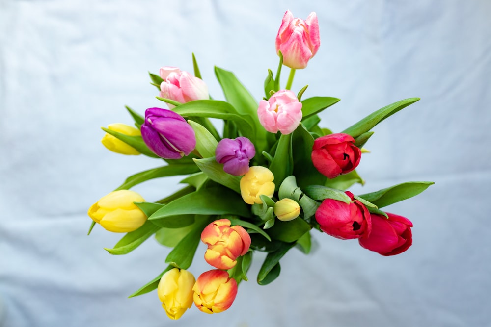 Tulipanes rosas y amarillos en flor durante el día