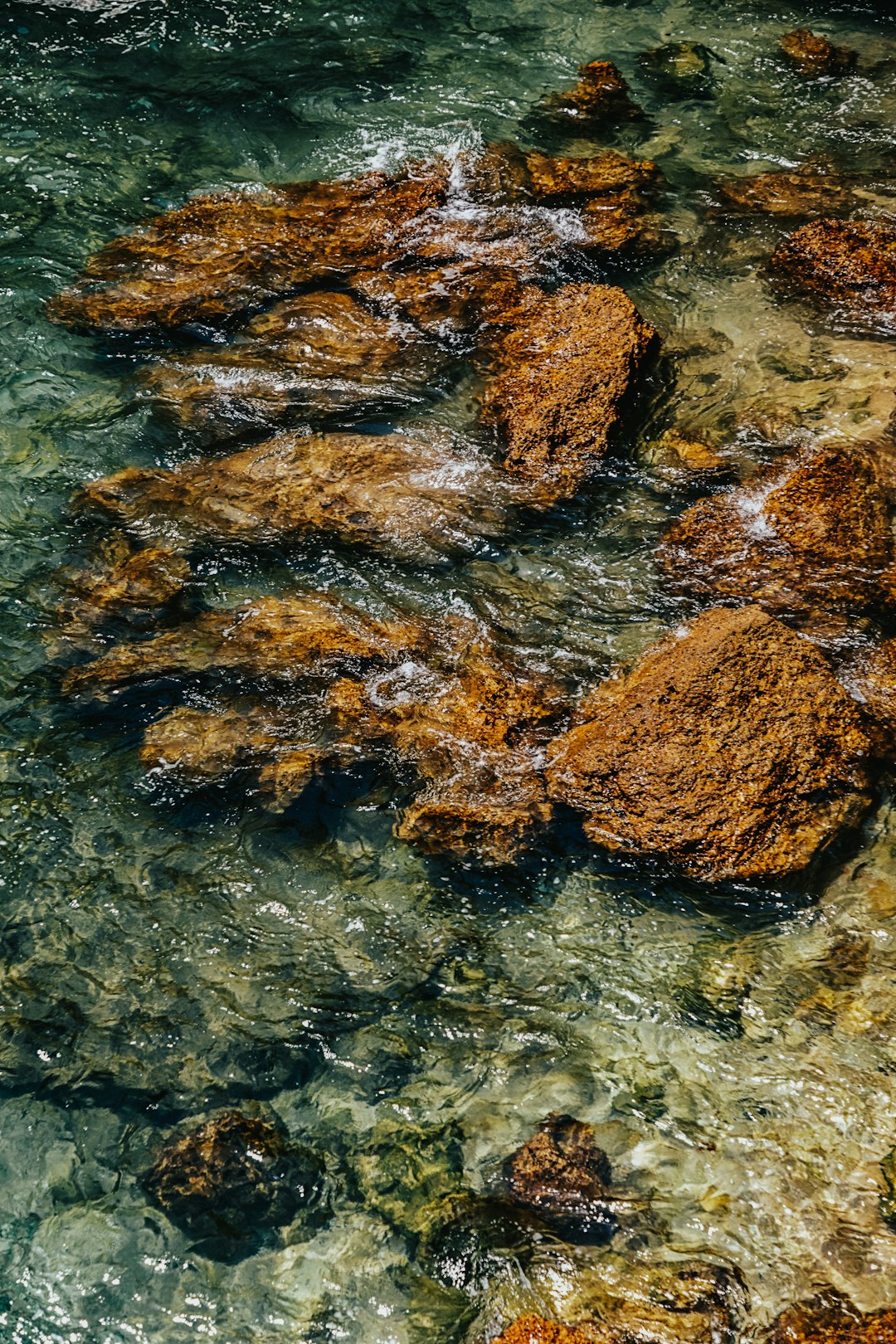 brown and black rocks on water