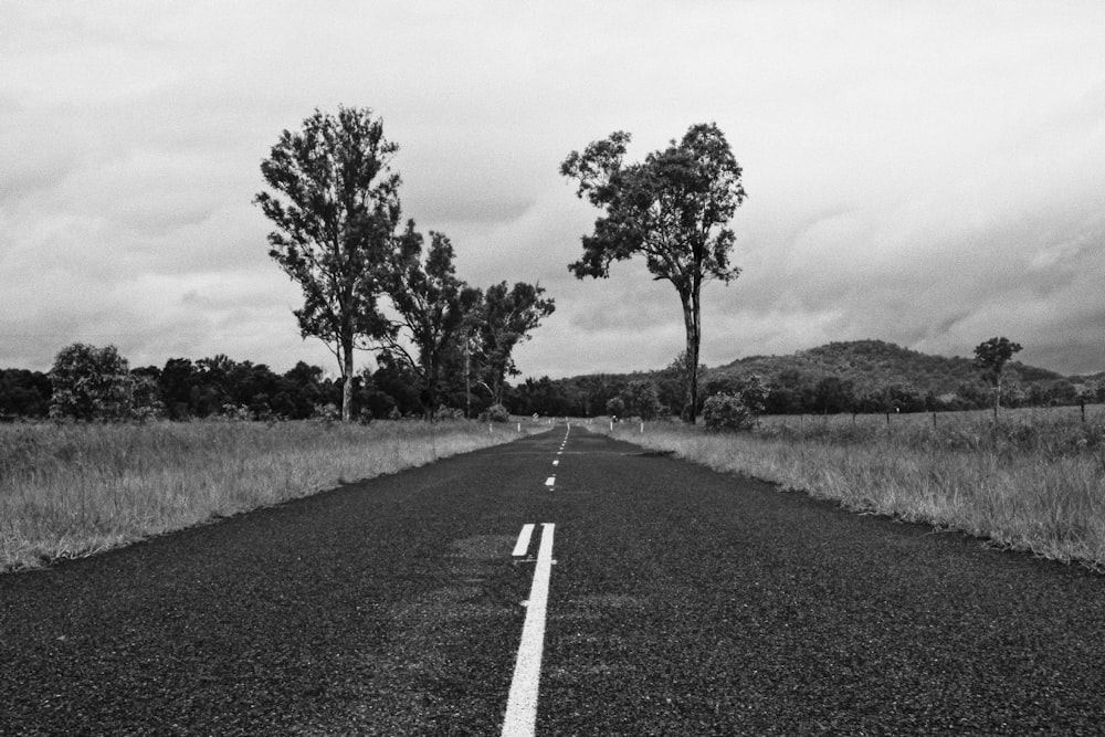 木々の間の道路のグレースケール写真