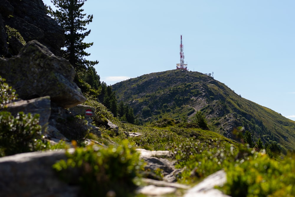 green and brown mountain under blue sky during daytime