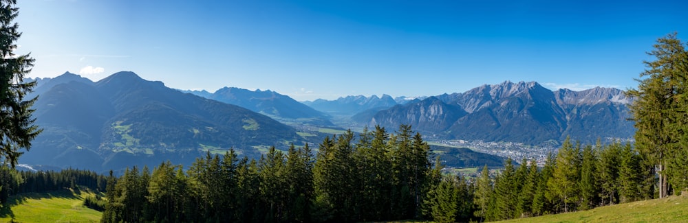 green trees near mountain during daytime