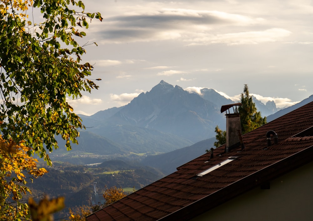 brown wooden house near green trees and mountains during daytime