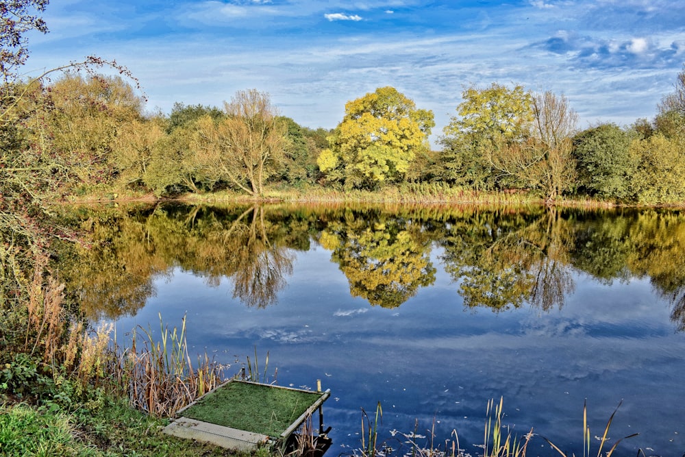 arbres verts à côté du plan d’eau sous le ciel bleu pendant la journée