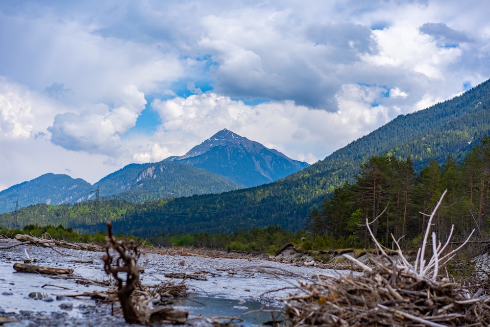 green trees near mountain under white clouds during daytime